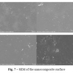 Fig. 7 – SEM of the nanocomposite surface 