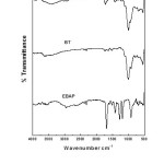 Figure 1: FTIR spectra of the samples.