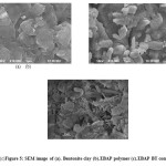 Figure 5: SEM image of (a). Bentonite clay (b).EBAP polymer (c).EBAP BT composite