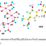 Fig. 1. Optimized structure of Fe6(OH)18(H2O)6 or γ-Fe2O3 nanoparticle (NP) and gentamicin (GEN).