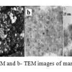 Fig. 3. a- SEM and b- TEM images of manganese ferrite 