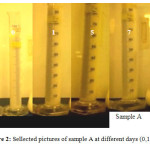 Figure 2: Sellected pictures of sample A at different days (0,1,5,7)