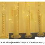 Figure 3: Sellected pictures of sample B at different days (1,3,5,7)