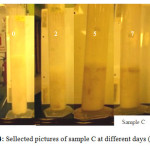 Figure 4: Sellected pictures of sample C at different days (0,2,5,7)
