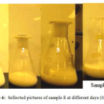 Figure 6:  Sellected pictures of sample E at different days (0,2,5,7)