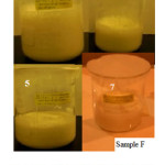 Figure 7:  Sellected pictures of sample F at different days (0,2,5,7)