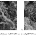 Fig. 2. SEM photographs of (a) activated MWCNT and (b) MnO2/MWCNT nanocomposite.