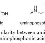 Figure 1: Similarity between amino acids and aminophosphonic acids.