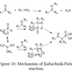 Figure 10: Mechanism of Kabachnik-Fields reaction.