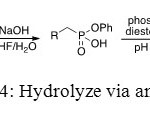Figure 14: Hydrolyze via an enzyme.