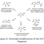 Figure 21: Structural modifications of the N-C-P fragment.