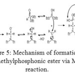 Figure 5: Mechanism of formation of aminomethylphosphonic ester via Mannich reaction.