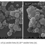 Figure 1 SEM images of (a) zeolite beta (b) Zr4+-zeolite beta (ie).