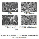 fig 2 . SEM Images show Blends PP / PA, PP / PA/ MA, PP / PA /Nano clay, PP / PA/ MA/Nano clay