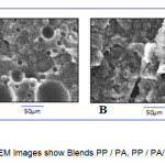 Fig 3. SEM Images show Blends PP / PA, PP / PA/ PP-g-MA