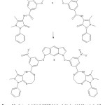 Figure 2.Synthesis of 1,7-bis(3-((5Z,9E)-2,3-dimethyl-1-phenyl-2,4,7,8-tetrahydro-1H-pyrazolo[4,3-d][1,3,6]triazocin-5-yl)-5-nitrophenoxy)-1,7-dihydropyrrolo[3,2,f]indole (6). Reaction of 5 with ethylenediamine (iv).