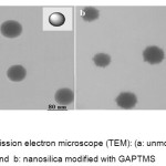 Fig (1): Transmission electron microscope (TEM): (a: unmodified nanosilica and  b: nanosilica modified with GAPTMS 