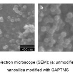 Fig (2): Scaning electron microscope (SEM): (a: unmodified nanosilica and  b: nanosilica modified with GAPTMS