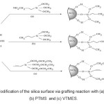 Fig (5): Modification of the silica surface via grafting reaction with (a) GAPTMS , (b) PTMS  and (c) VTMES.