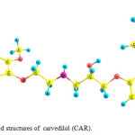Fig. 1. Optimized structures of  carvedilol (CAR).