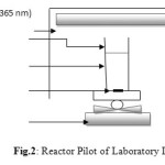 Fig.2: Reactor Pilot of Laboratory LSTGP.