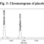 Fig. 5: Chromatogram of placebo 