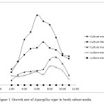 Figure 1: Growth rate of Aspergillus niger in broth culture media.