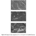 fig (3): SEM image of a Nano composite (a:1.5% ; b: 3.0%; and b: %4.5 modified Nano clay)