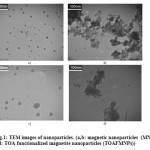 Fig.1: TEM images of nanoparticles. (a,b: magnetic nanoparticles  (MNPs). c,d: TOA functionalized magnetite nanoparticles (TOAFMNPs))