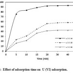 Fig. 8:  Effect of adsorption time on  U (VI) adsorption.