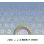 Figure 2. Cell direction scheme