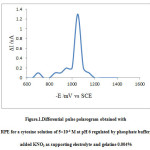 Figure.1.Differential pulse polarogram obtained with RPE for a cytosine solution of 5×10-4 M at pH 6 regulated by phosphate buffer, added KNO3 as supporting electrolyte and gelatine 0.004%
