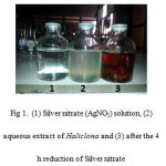 Fig 1.  (1) Silver nitrate (AgNO3) solution, (2) aqueous extract of Haliclona and (3) after the 4 h reduction of Silver nitrate