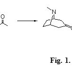 Fig. 1. Robinson’s synthesis