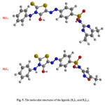 Fig. 5. The molecular structures of the ligands (H2L1 and H2L2).