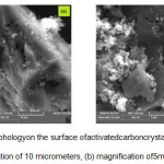 Figure 2.Morphologyon the surface ofactivatedcarboncrystaldopedP25; a). Magnification of 10 micrometers, (b) magnification of5micrometers