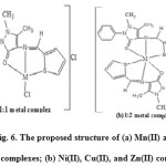 Fig. 6. The proposed structure of (a) Mn(II) and Co(II) complexes; (b) Ni(II), Cu(II), and Zn(II) complexes.