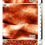 Fig. 5. AFM images of the surface of the films deposited on HOPG from a methanol solution:in topography mode (a) GG, (b) GGG and in phase contrast mode (c) GGG.