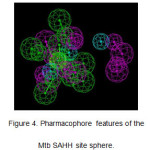 Figure 4. Pharmacophore features of the Mtb SAHH site sphere.