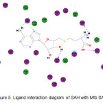 Figure 5. Ligand interaction diagram of SAH with Mtb SAHH.