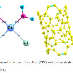 Fig. 1. Optimized structures of  cisplatin (CPT) and pristine single wall carbon nanotubes (NT). 