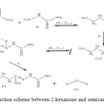 Fig.10: General reaction scheme between 2-hexanone and semicarbazide. 