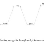   Fig.9: Profiles of the Gibbs free energy for benzyl methyl ketone and semicarbazide reaction.