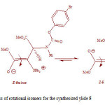 Fig. 3. Interchangeable process of rotational isomers for the synthesized ylide 5