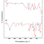 Fig. 1: FT-IR spectra of MWNT–COOH (a) and ANSA functionalized MWCNTs (b). 
