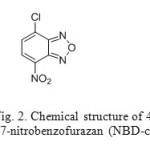 Fig. 2. Chemical structure of 4-Chloro-7-nitrobenzofurazan (NBD-chloride)