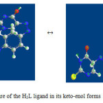 Fig. 1. The modeling structure of the H5L ligand in its keto-enol forms