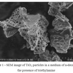 Figure 1 - SEM image of TiO2 particles in a medium of n-decane in the presence of triethylamine