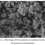 Figure 2 - SEM image of TiO2 particles in a medium of n-decane in the presence of triethylamine