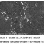 Figure 8 - Image SEM UHMWPE sample containing the nanoparticles of zirconium oxide